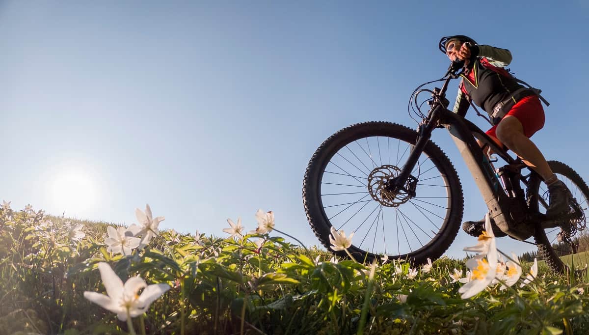 Meilleur VTT Électrique Comparatif Qualité Prix 2025 — free download